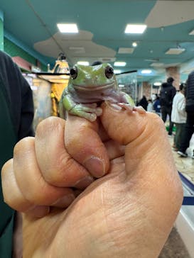 いきもの探検隊上尾に投稿された画像（2025/2/12）