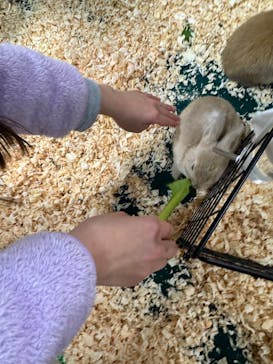 いきもの探検隊上尾に投稿された画像（2025/2/12）