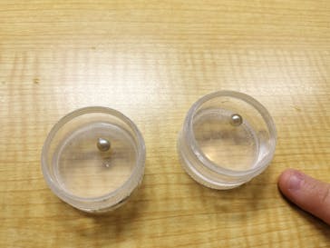 三重県真珠に投稿された画像（2025/2/12）