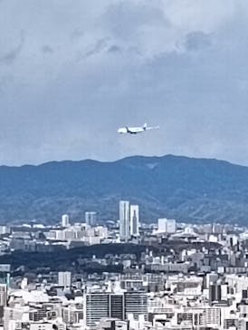 絹谷幸二 天空美術館に投稿された画像（2025/2/12）