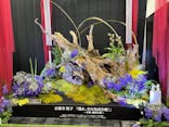 世界らん展2025-花と緑の祭典-に投稿された画像（2025/2/12）