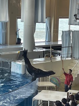 アクアワールド茨城県大洗水族館に投稿された画像（2025/2/12）