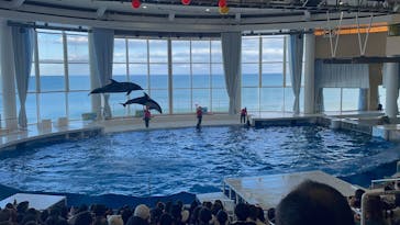 アクアワールド茨城県大洗水族館に投稿された画像（2025/2/12）