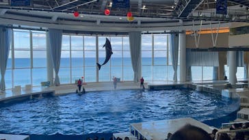 アクアワールド茨城県大洗水族館に投稿された画像（2025/2/12）
