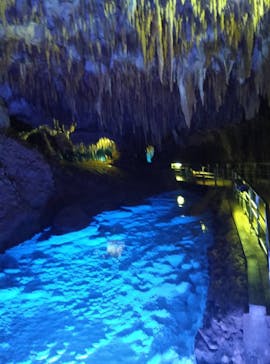 おきなわワールドに投稿された画像（2025/2/12）