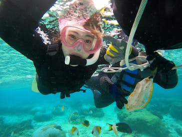 武藤潜水に投稿された画像（2025/2/13）