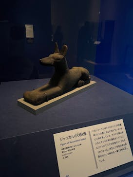 ブルックリン博物館所蔵 特別展 古代エジプトに投稿された画像（2025/2/13）