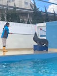 竹島水族館に投稿された画像（2025/2/13）