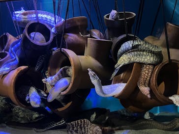 竹島水族館に投稿された画像（2025/2/13）