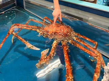 竹島水族館に投稿された画像（2025/2/13）