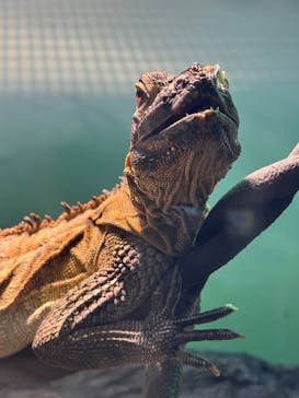 サンシャイン水族館に投稿された画像（2025/2/13）
