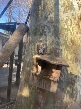 恩賜上野動物園に投稿された画像（2025/2/13）