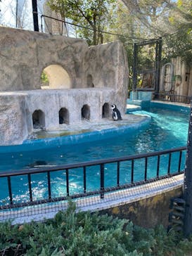 恩賜上野動物園に投稿された画像（2025/2/13）