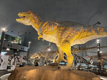 福井県立恐竜博物館に投稿された画像（2025/2/13）