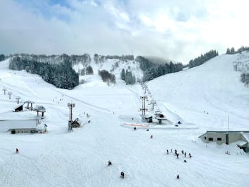 ニュー・グリーンピア津南に投稿された画像（2025/2/13）