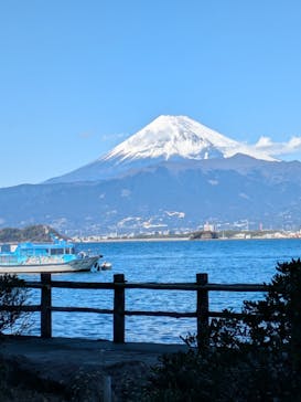 あわしまマリンパークに投稿された画像（2025/2/13）