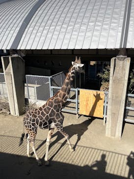 霞ケ浦 どうぶつとみんなのいえに投稿された画像（2025/2/13）