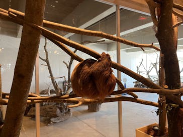 霞ケ浦 どうぶつとみんなのいえに投稿された画像（2025/2/13）