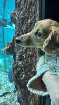 串本海中公園水族館に投稿された画像（2025/2/13）