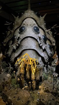 金曜ロードショーとジブリ展　三重展に投稿された画像（2025/2/13）