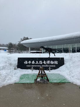 福井県立恐竜博物館に投稿された画像（2025/2/13）