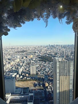 サンシャイン60展望台に投稿された画像（2025/2/13）