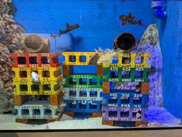 竹島水族館に投稿された画像（2025/2/13）