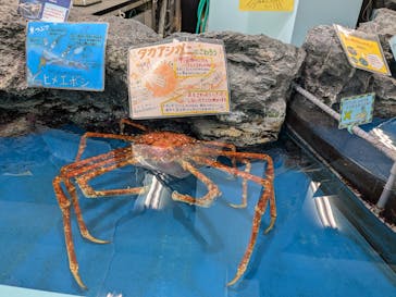 竹島水族館に投稿された画像（2025/2/13）