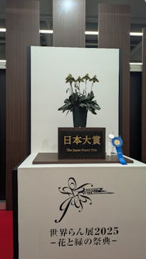 世界らん展2026-花と緑の祭典-に投稿された画像（2025/2/13）