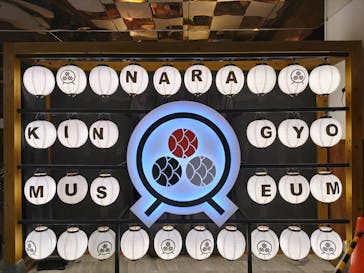 NARA KINGYO MUSEUMに投稿された画像（2025/2/13）