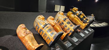 MYSTERY OF TUTANKHAMEN 体感型古代エジプト展に投稿された画像（2025/2/13）