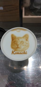 Cat Café MOFF つかしん店に投稿された画像（2025/2/13）