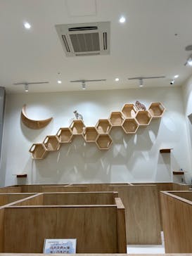 Cat Café MOFF イオンモール浜松志都呂店に投稿された画像（2025/2/13）