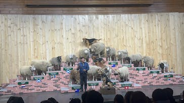 マザー牧場に投稿された画像（2025/2/13）