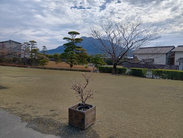 仙巌園に投稿された画像（2025/2/13）