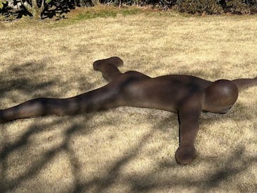 彫刻の森美術館に投稿された画像（2025/2/13）