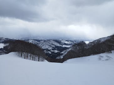 村上市ぶどうスキー場に投稿された画像（2025/2/13）