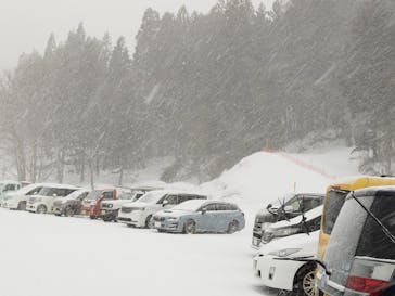 村上市ぶどうスキー場に投稿された画像（2025/2/13）
