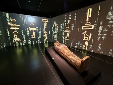 MYSTERY OF TUTANKHAMEN 体感型古代エジプト展に投稿された画像（2025/2/13）