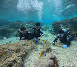 武藤潜水に投稿された画像（2025/2/13）