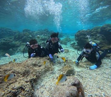 武藤潜水に投稿された画像（2025/2/13）