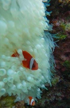 武藤潜水に投稿された画像（2025/2/13）