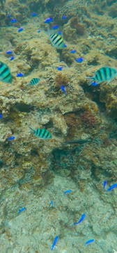 武藤潜水に投稿された画像（2025/2/13）