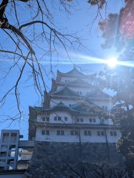 名古屋城に投稿された画像（2025/2/13）