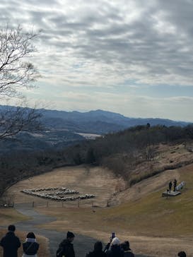 マザー牧場に投稿された画像（2025/2/14）