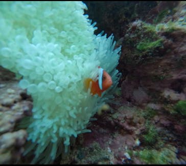 武藤潜水に投稿された画像（2025/2/14）