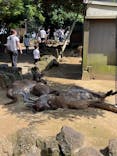 伊豆シャボテン動物公園に投稿された画像（2025/2/14）