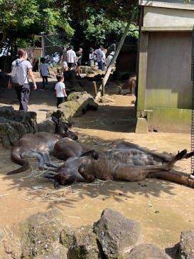 伊豆シャボテン動物公園に投稿された画像（2025/2/14）