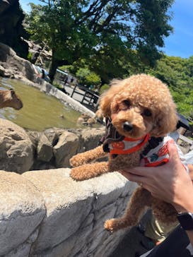 伊豆シャボテン動物公園に投稿された画像（2025/2/14）