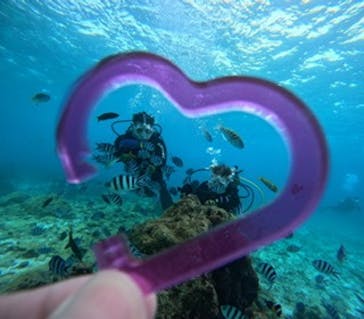 青の洞窟専門店　沖縄ダイビングショップ和に投稿された画像（2025/2/14）